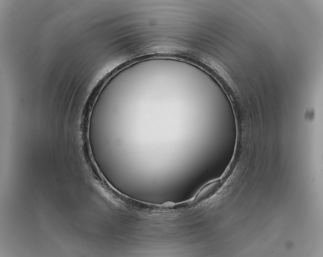 X0000096401026200802071556