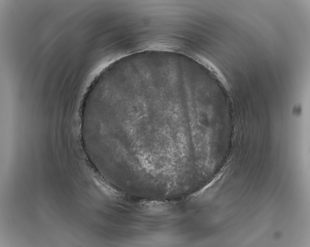 X0000096401027200802071556