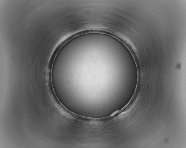 X0000096401029200802071556