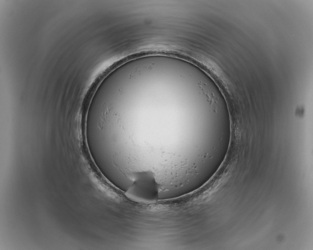 X0000096401030200802071556