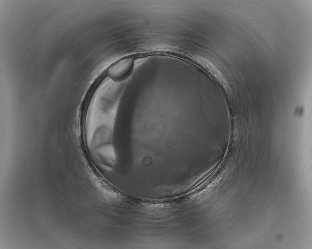 X0000096401031200802071556