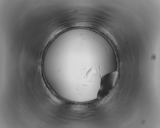 X0000096401033200802071556