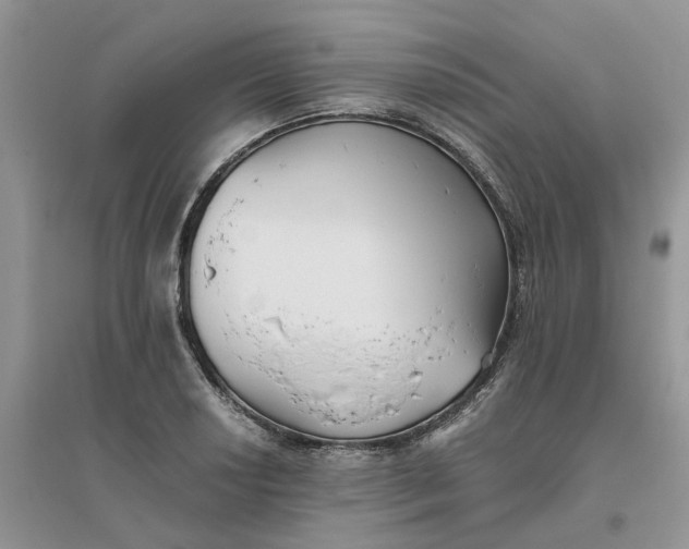 X0000096401034200802071556