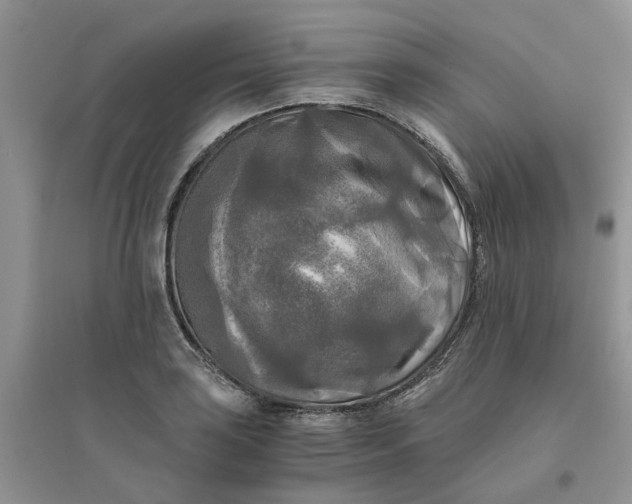 X0000096401035200802071556