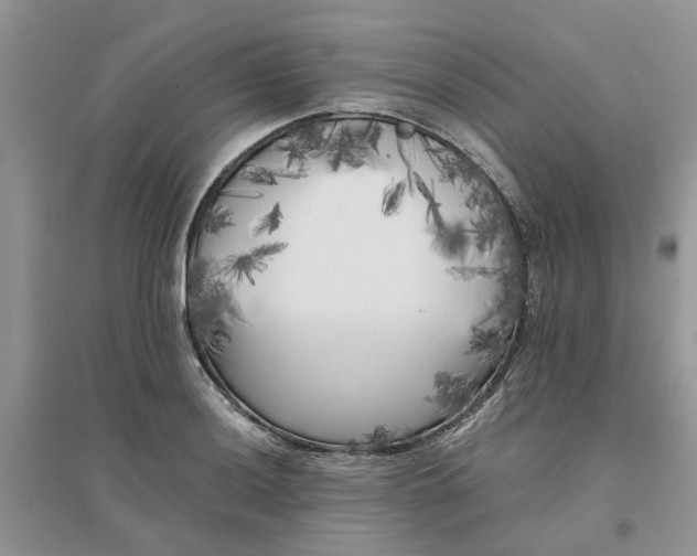 X0000096401036200802071556