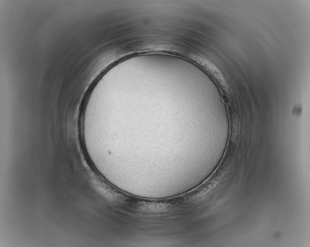 X0000096401039200802071556