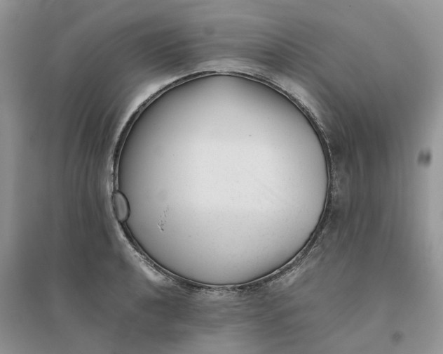 X0000096401040200802071556