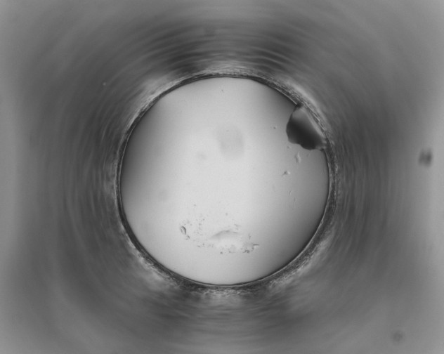 X0000096401041200802071556