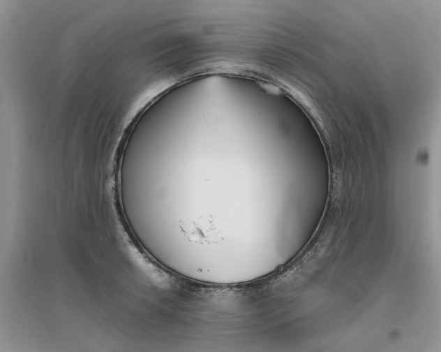 X0000096401042200802071556