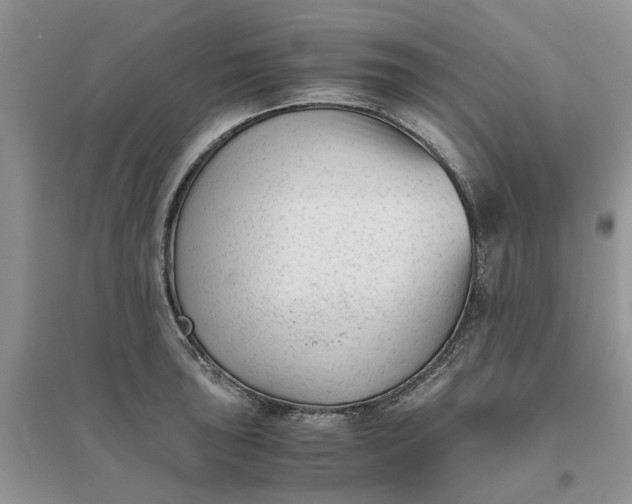 X0000096401043200802071556