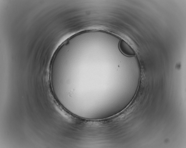 X0000096401044200802071556