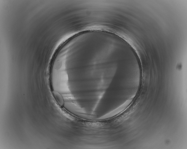 X0000096401045200802071556