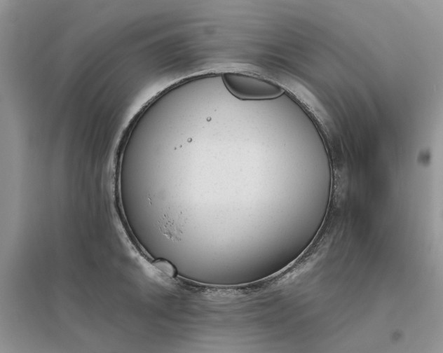 X0000096401046200802071556