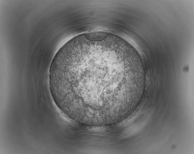 X0000096401047200802071556