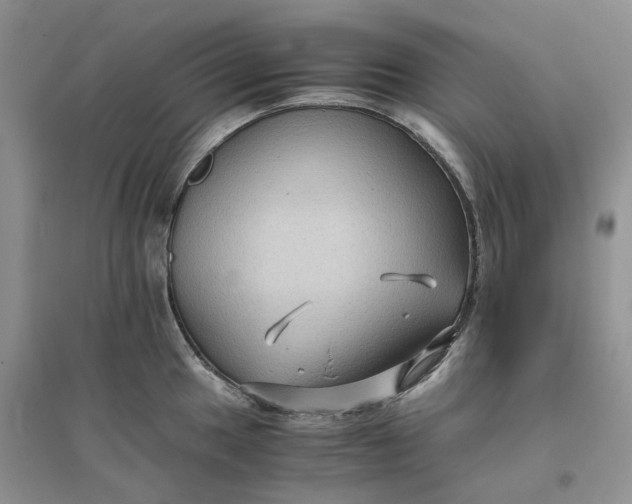 X0000096401049200802071556