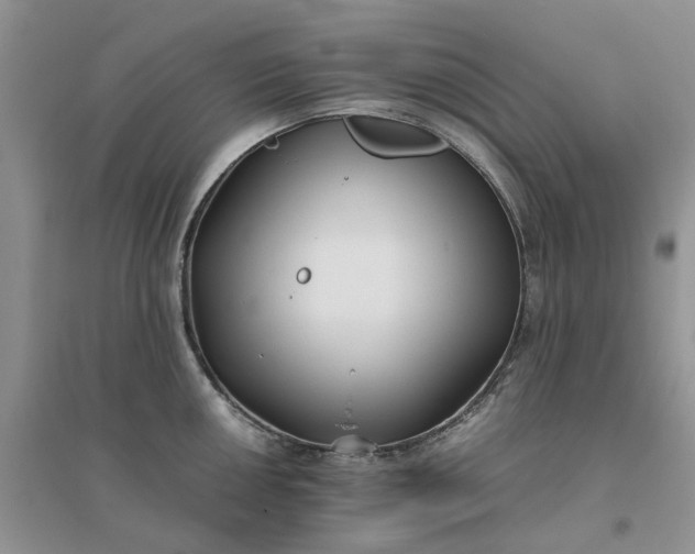 X0000096401050200802071556