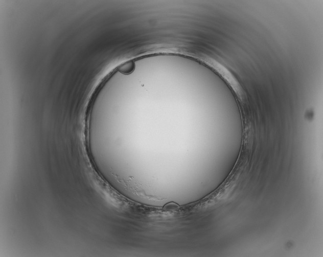 X0000096401051200802071556