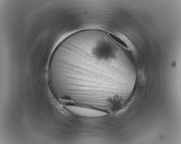 X0000096401052200802071556