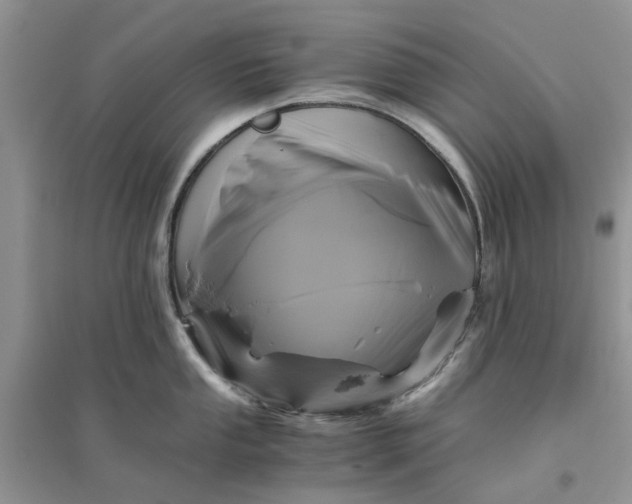 X0000096401053200802071556