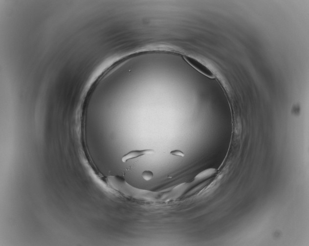 X0000096401054200802071556