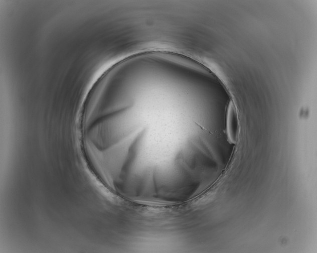 X0000096401056200802071556