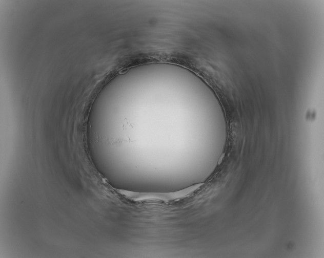 X0000096401057200802071556