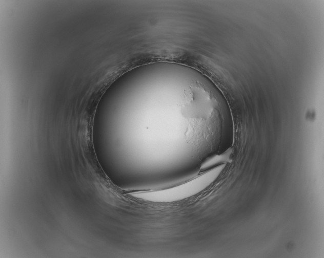 X0000096401058200802071556