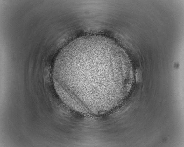 X0000096401059200802071556