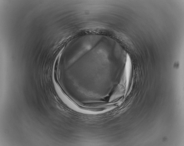 X0000096401060200802071556