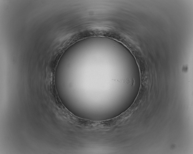 X0000096401061200802071556