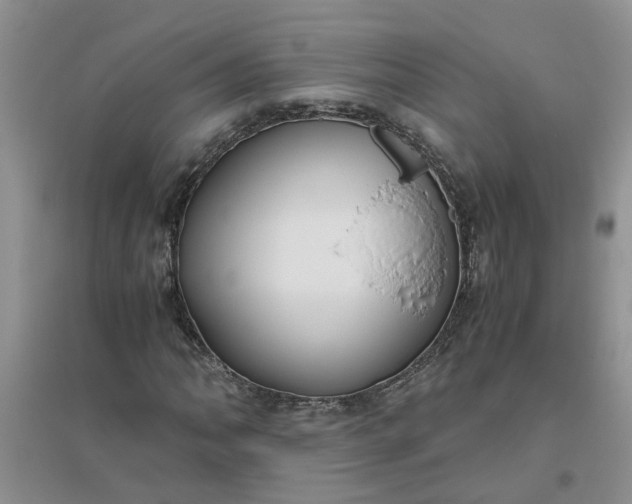 X0000096401062200802071556