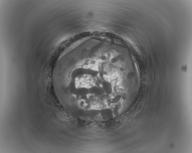 X0000096401063200802071556