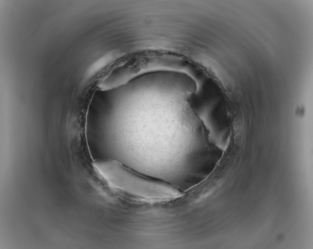 X0000096401064200802071556