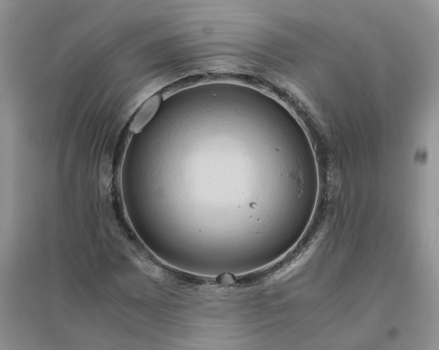 X0000096401065200802071556