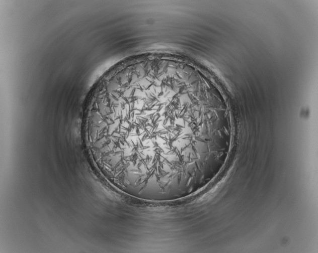 X0000096401066200802071556