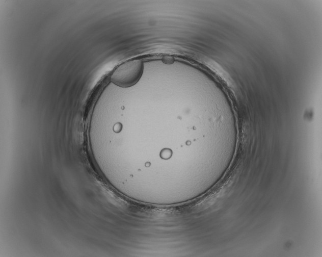 X0000096401067200802071555