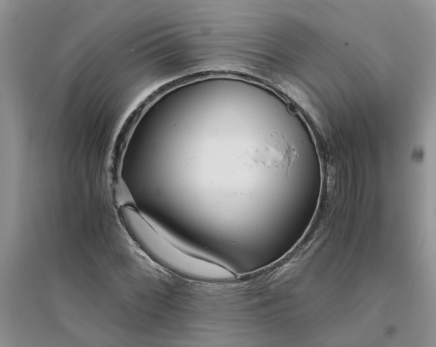 X0000096401068200802071555