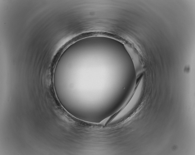 X0000096401069200802071555