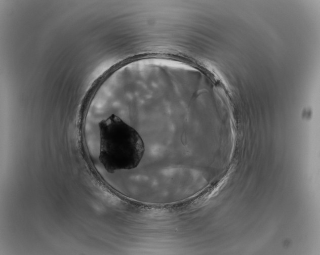 X0000096401071200802071555