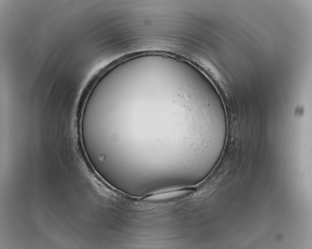 X0000096401072200802071555