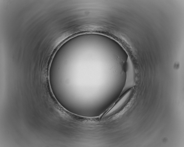 X0000096401073200802071555