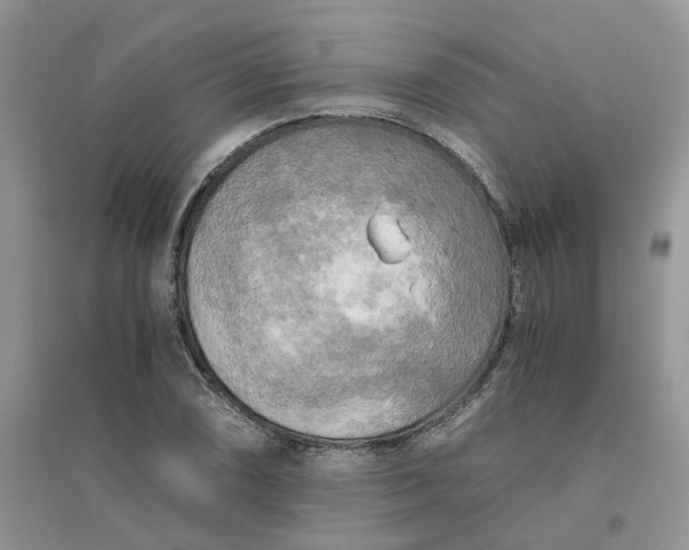 X0000096401074200802071555