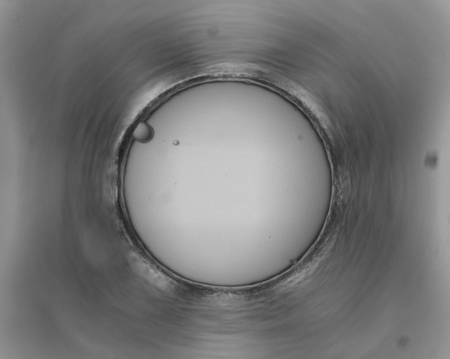 X0000096401075200802071555