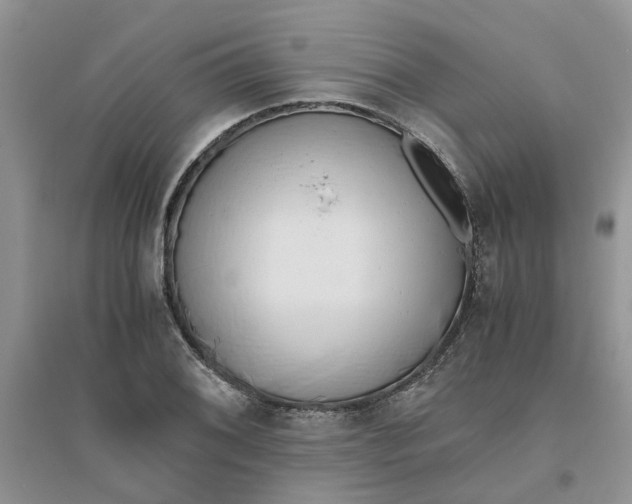 X0000096401076200802071555