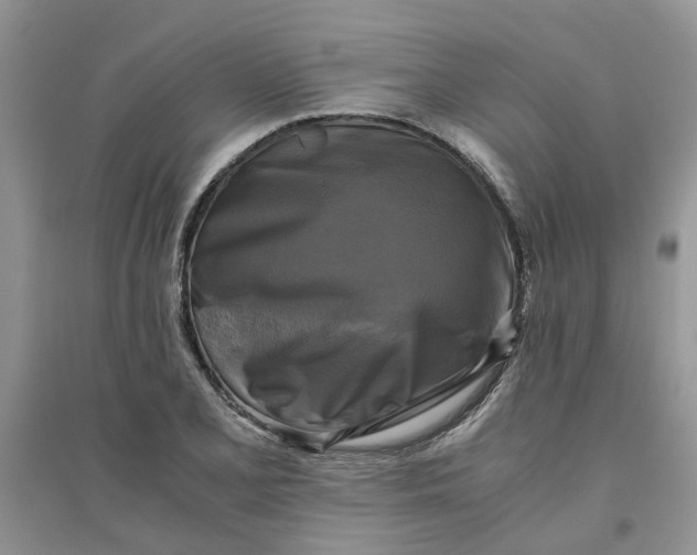 X0000096401077200802071555