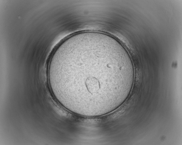 X0000096401078200802071555