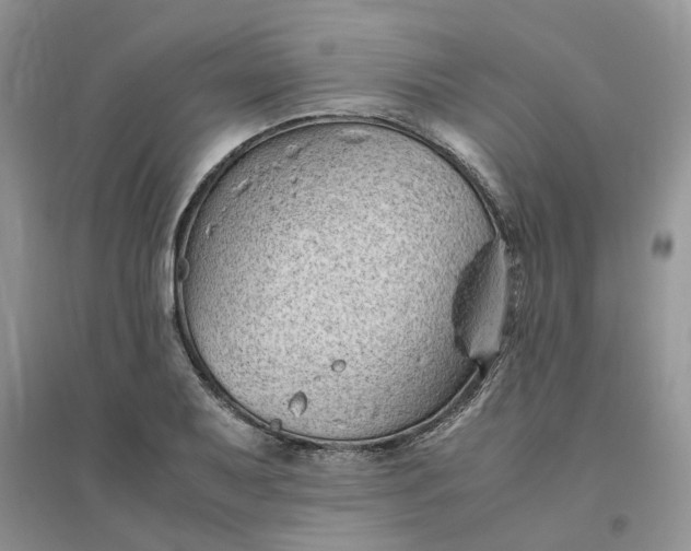 X0000096401079200802071555