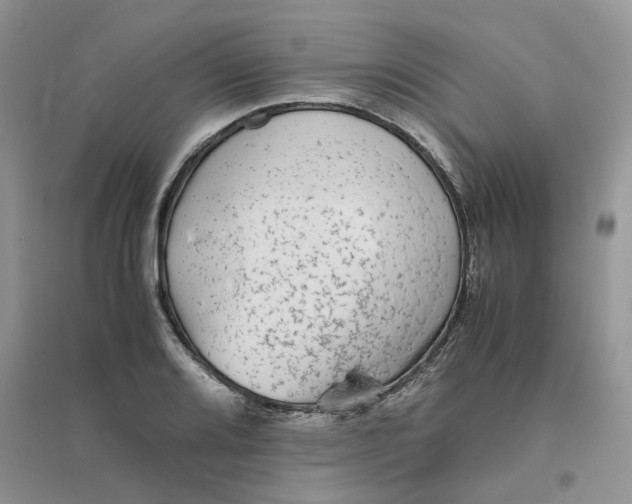 X0000096401080200802071555