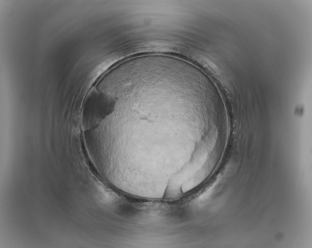 X0000096401081200802071555