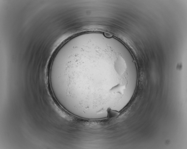 X0000096401082200802071555